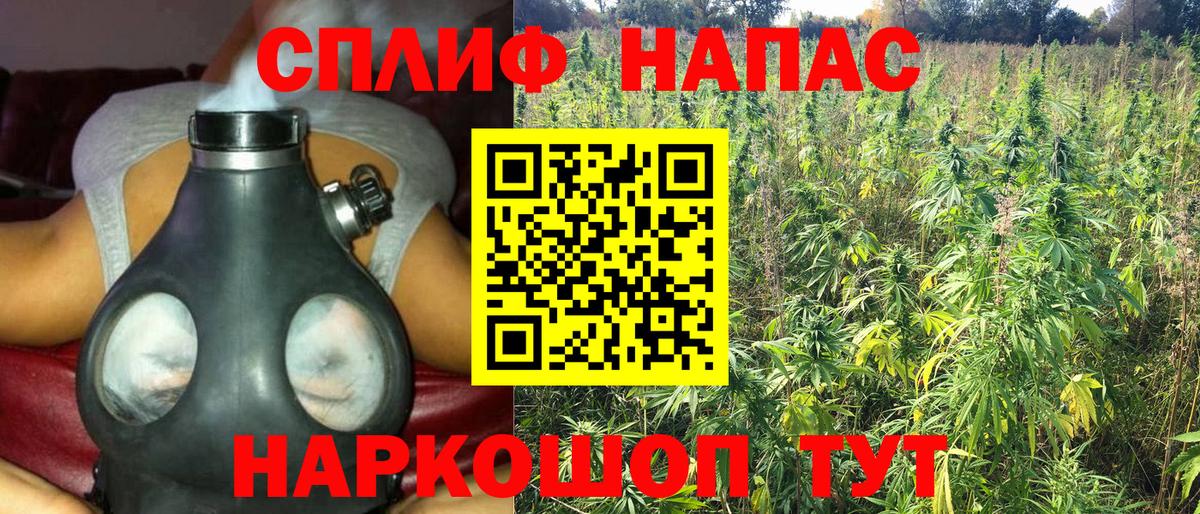 Биробиджан  МАРИХУАНА Ganja  Вход с VPN  Марихуана планчик  Канабис Ganja  Каннабис марихуана 